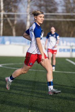 Bild 413 - wBJ Hamburger SV - Hertha BSC : Ergebnis: 2:1